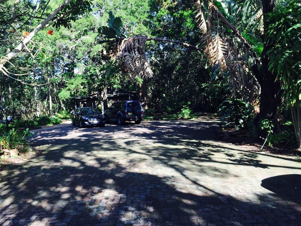 Byron Bay Rainforest Resort Exterior photo