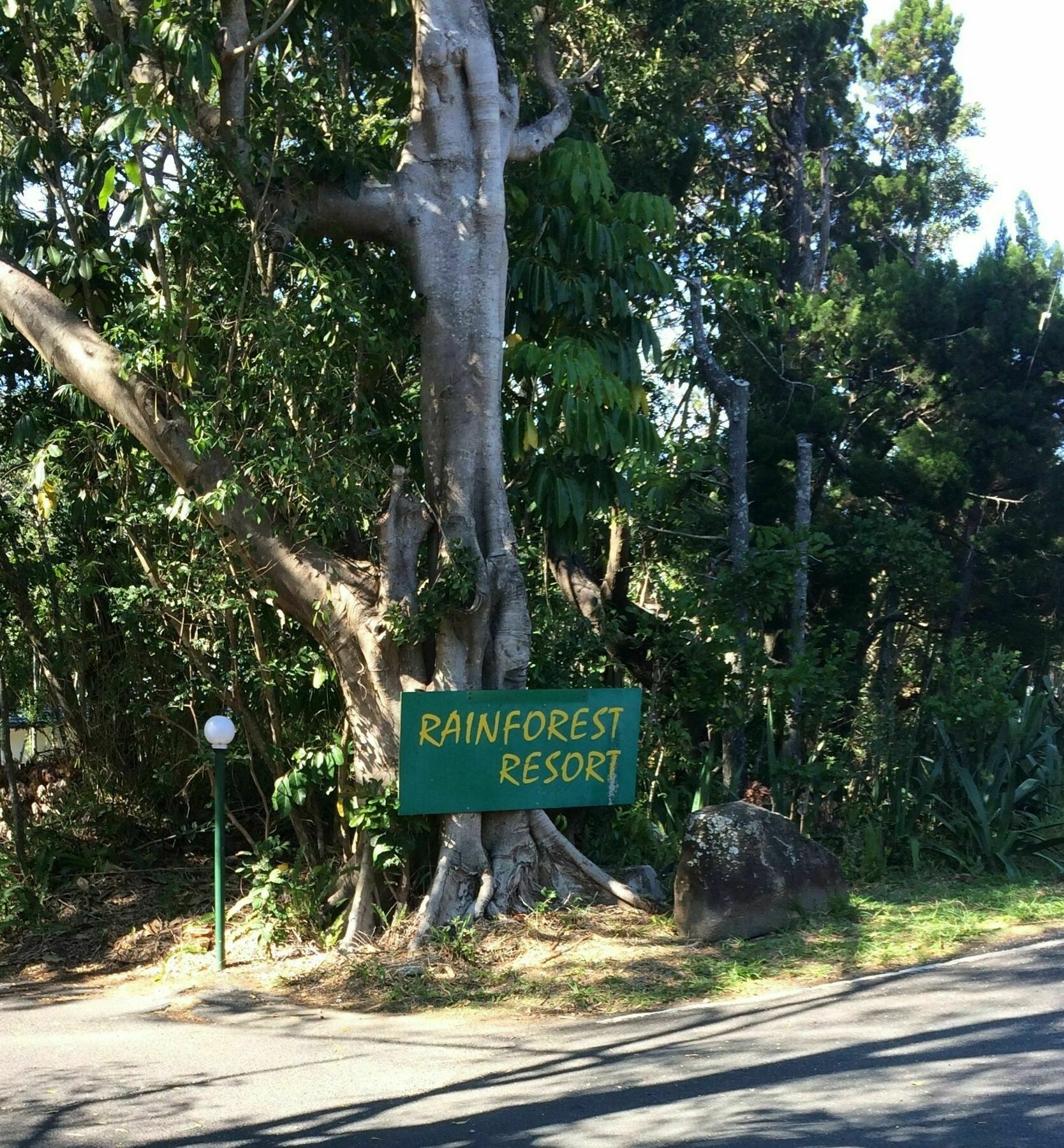 Byron Bay Rainforest Resort Exterior photo