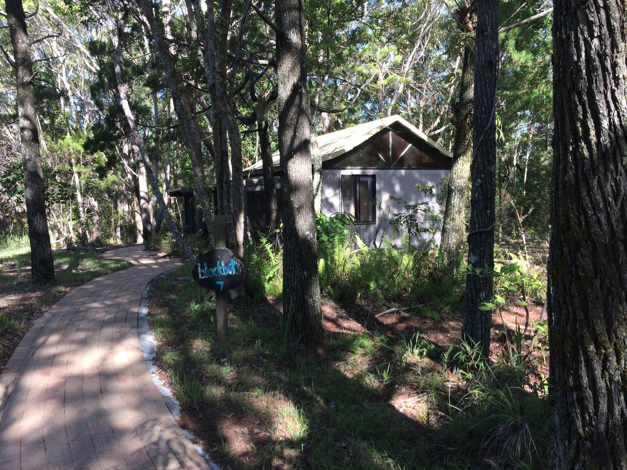 Byron Bay Rainforest Resort Exterior photo